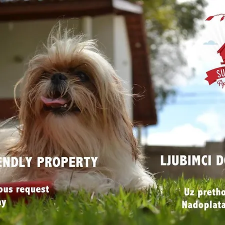 Apartments Suncani Zágráb Kültér fotó