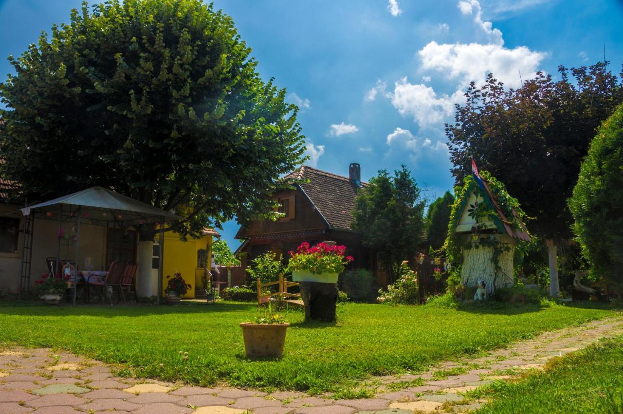 Suncani * Zagreb